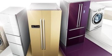 警惕消費(fèi)隱患 去年進(jìn)口家電不合格率近三成，選購(gòu)與使用指南